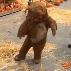 Meet your Posher, Jereme